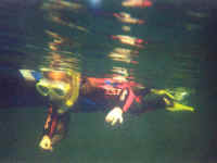 Homosassa River, Florida, November 2003