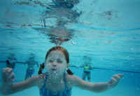 clairfish1.jpg (51288 bytes)