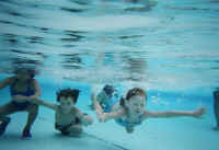 clairfish2.jpg (48432 bytes)