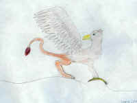 Best Thank You Note Ever!